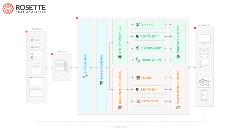 screenshot of Rosette Linguistics Platform